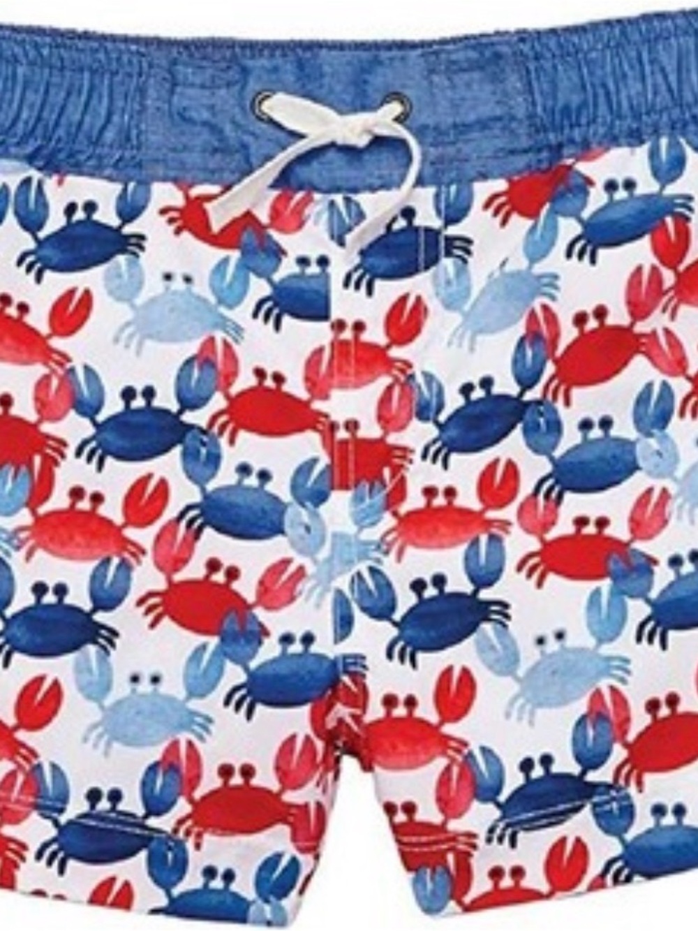 Like-New Mudpie Baby Boy Swim Trunks, Size 12-18mos